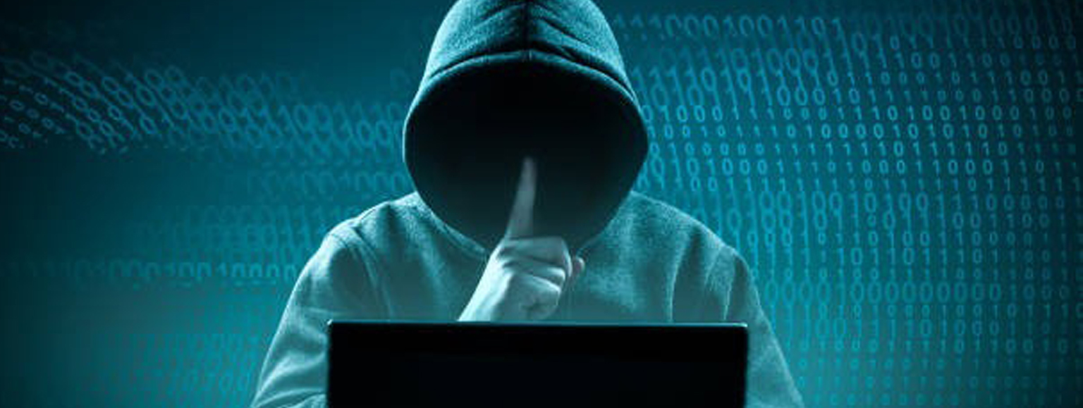 Anarcho-capitalism in darknet economies
